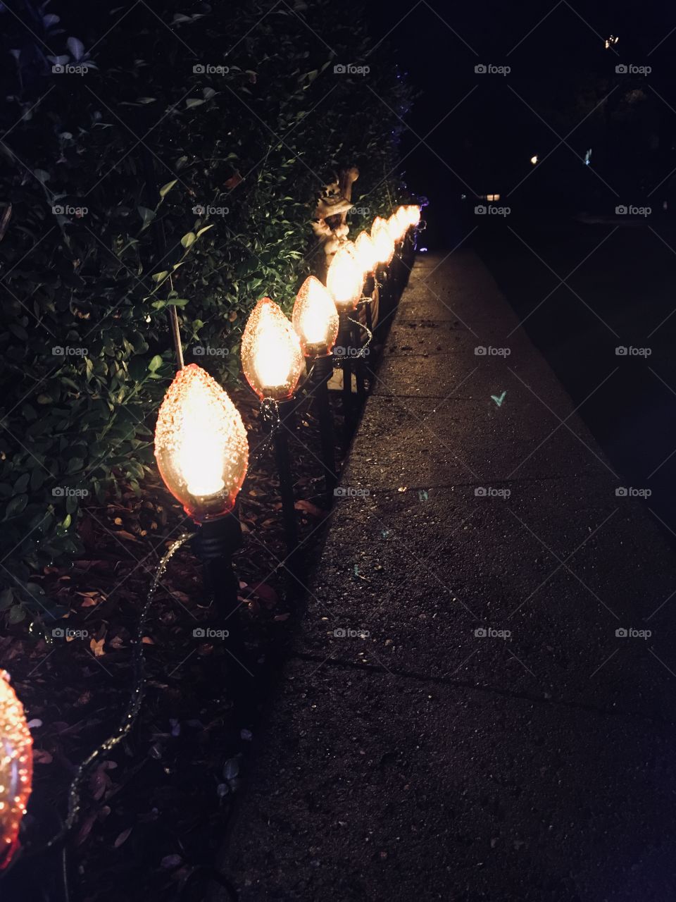 Path lights 