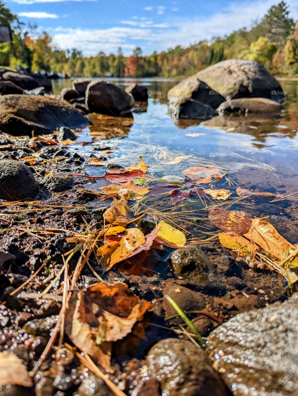 Mobile Series: Landscape