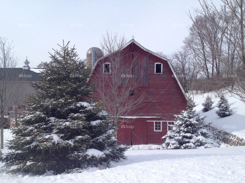 Red Barn