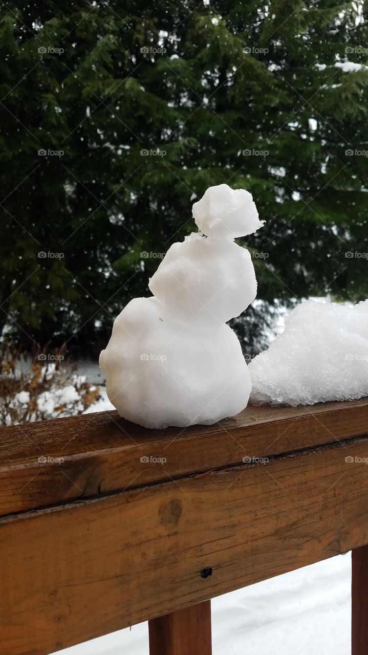 this could be the tiniest snowman in the world