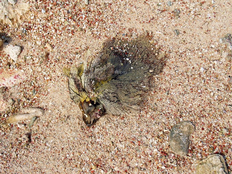 On the Beach