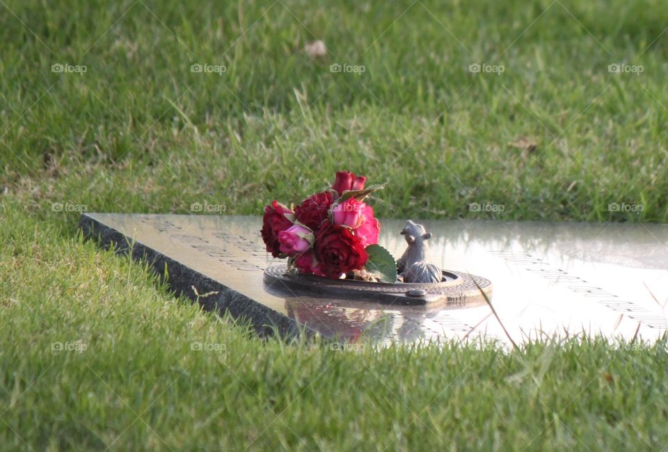 Roses on Gravestone