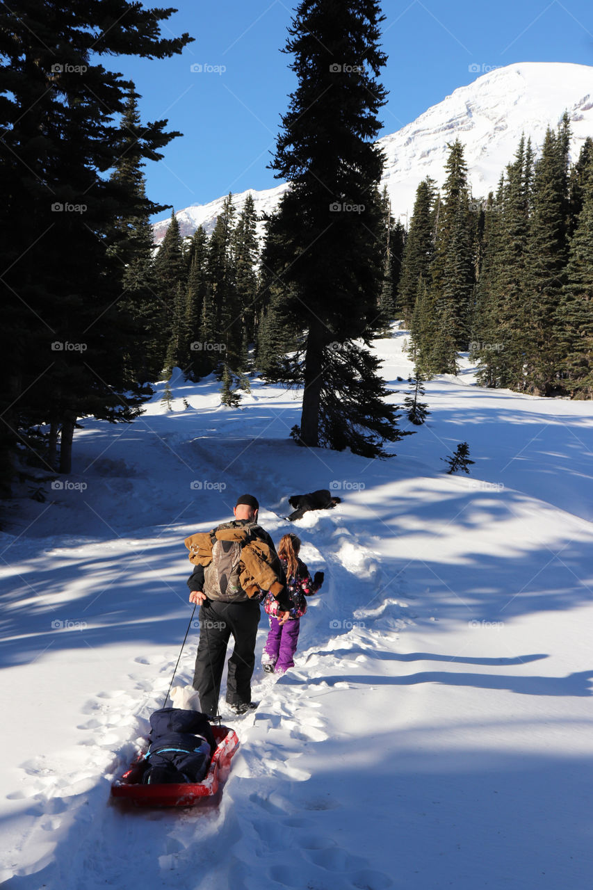 A hike in winter at Mount Rainier National Park