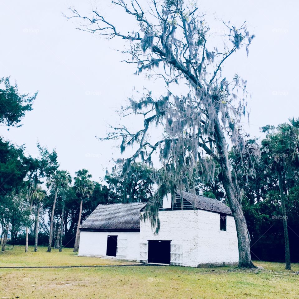 Kingsley plantation 