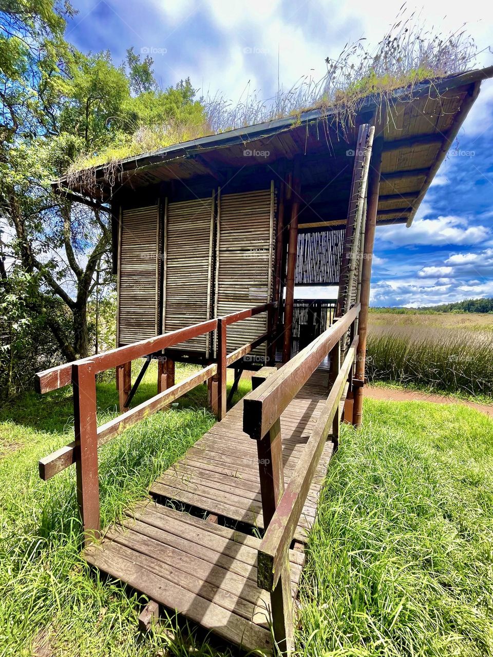 Vacations summer in the countryside- a wood house