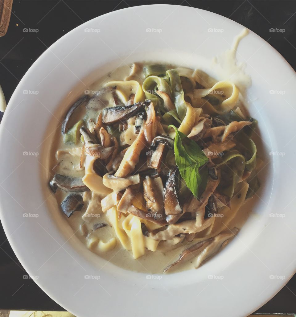 soft noddles with a warm creamy sauce with mushrooms and basil is the perfect elegant meal to warm you up