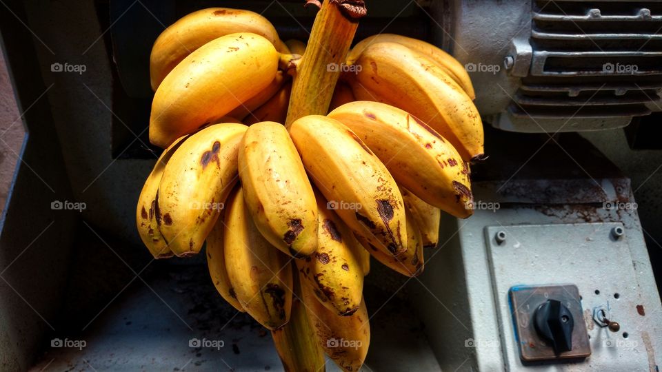 Cacho, pencas de bananas maduras.