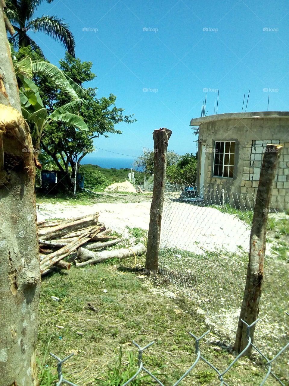 a picture never lie because it takes what it see looking at this you see so much thing