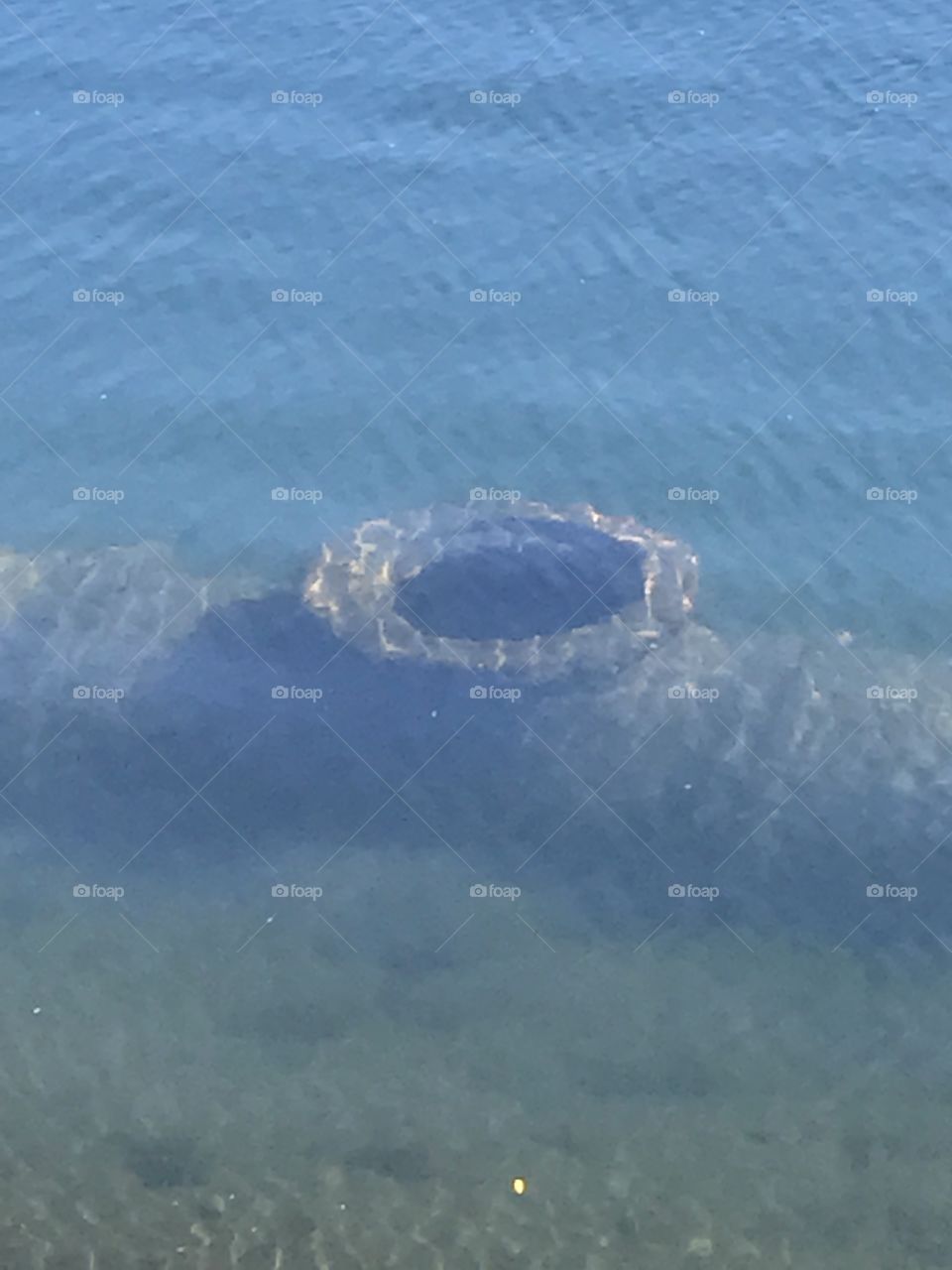 Underwater ghost pipe 