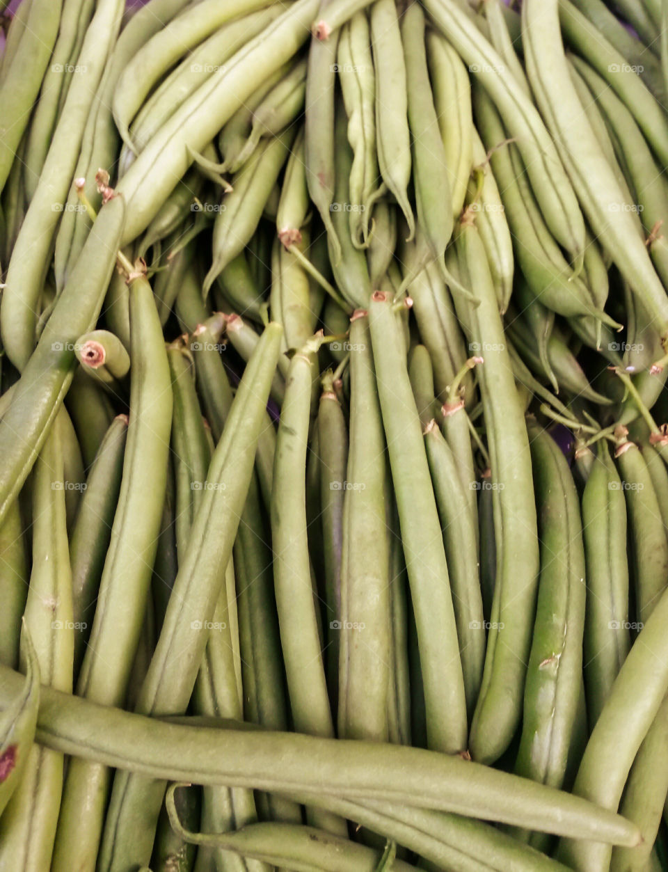 Directly above shot of beans