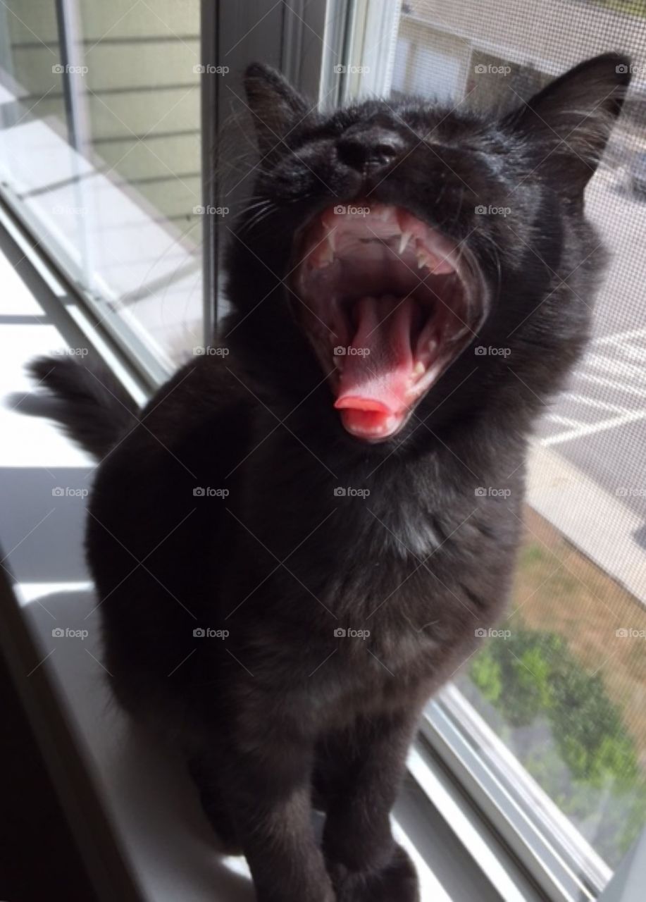 JJ's biggest yawn