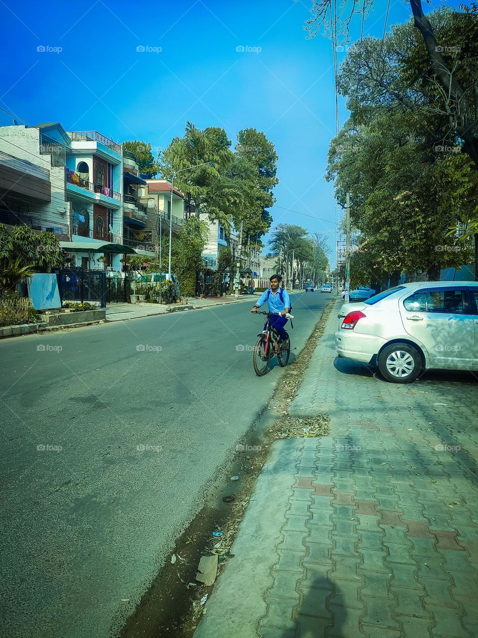 person riding bicycle on road