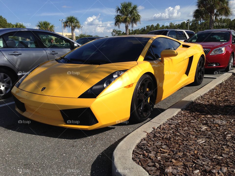 Lamborghini in Tampa, Florida. 