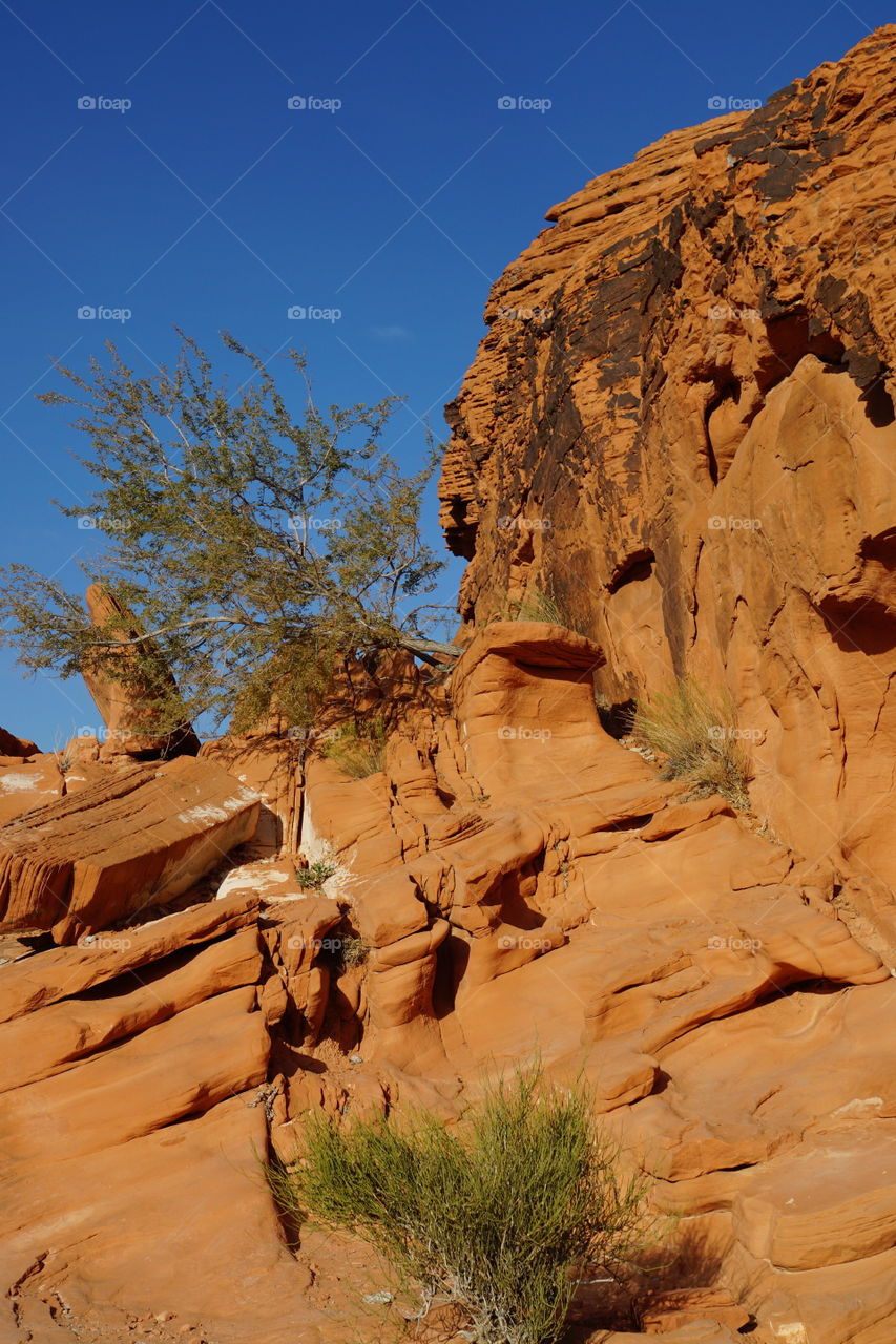 Valley of Fire 