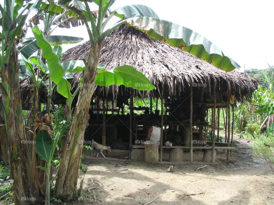 Tribal Village House