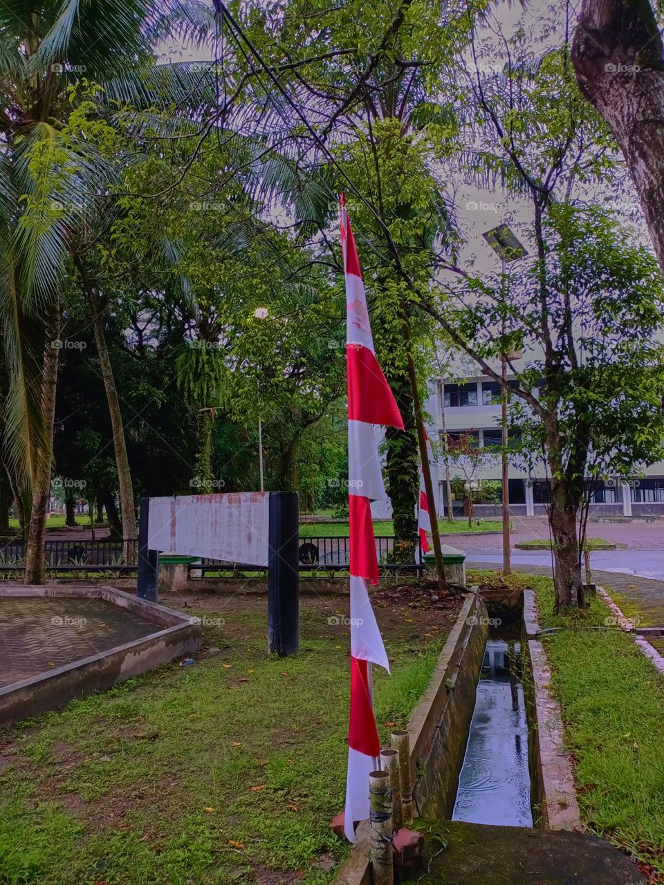 Indonesian Flag, The Red and white Flag, national symbol of Indonesia. Red and white pennant or flag on a bamboo pole used to commemorate Indonesia's independence day