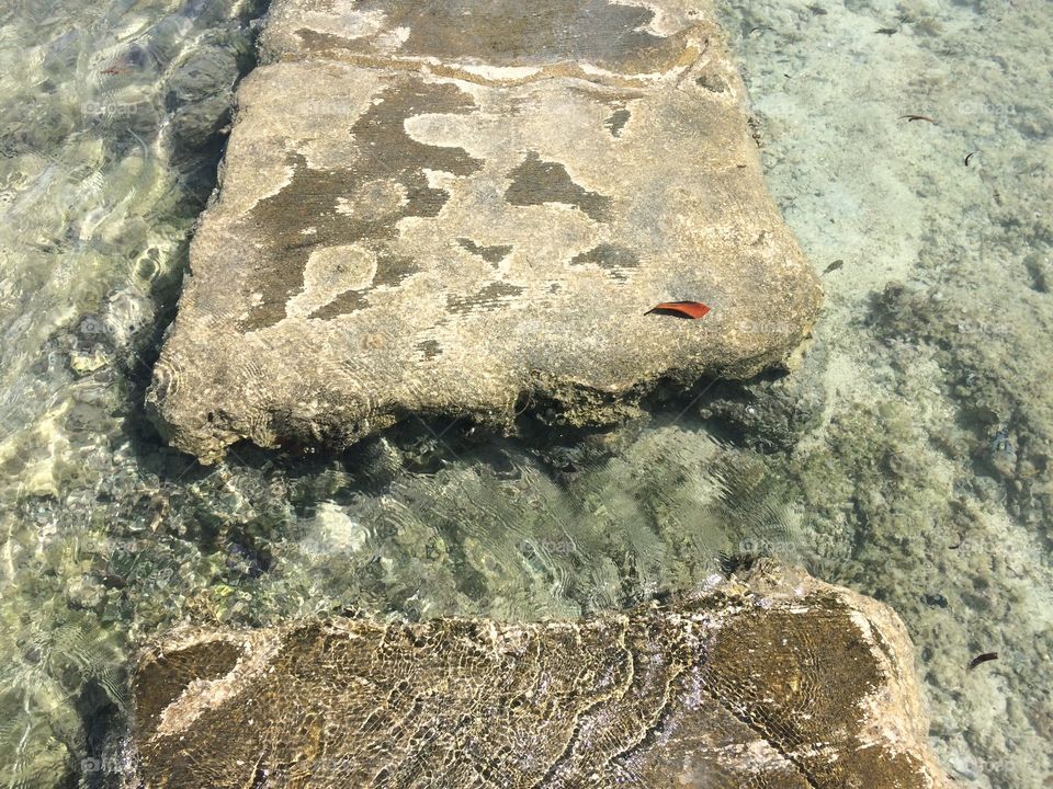 Stones on under water path on Olango Island, Philippines. 