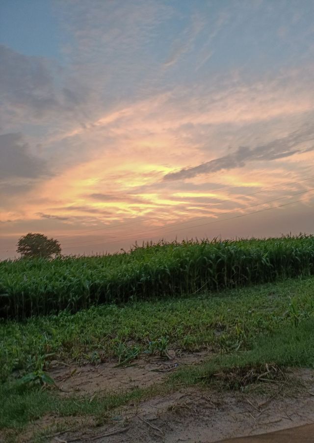 Beautiful sunset