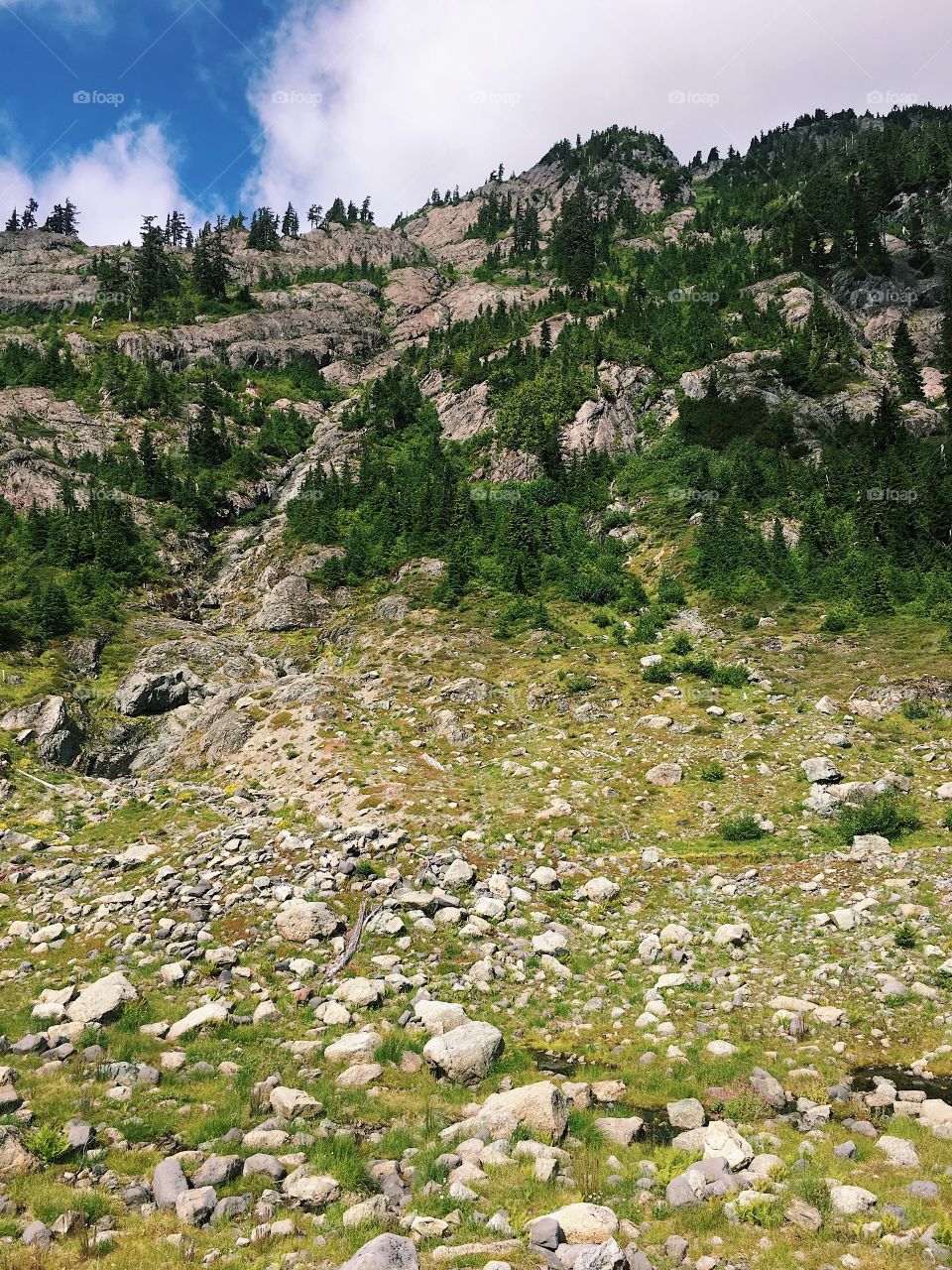 View of rocket cliff with green grass during hike