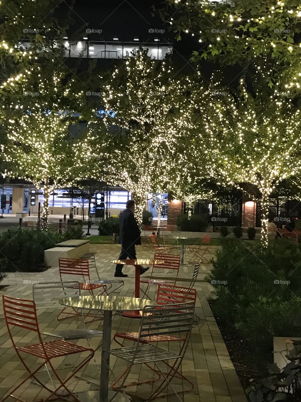 People, City, Tree, Building, Architecture
