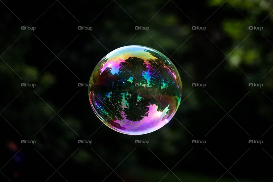 Soapy bubble