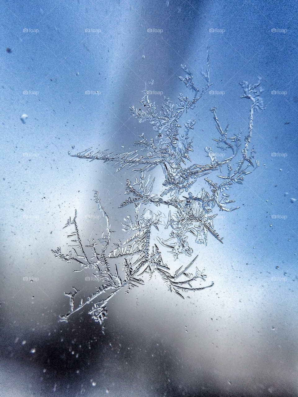 Close-up of frosted glass