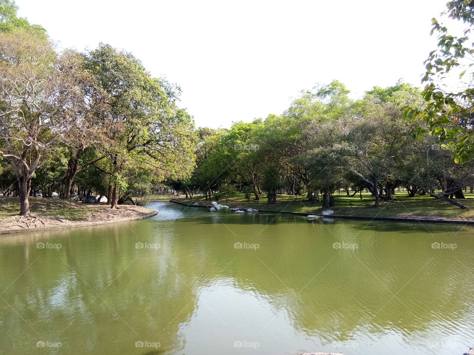 garden : Thailand : national park : tree : view :