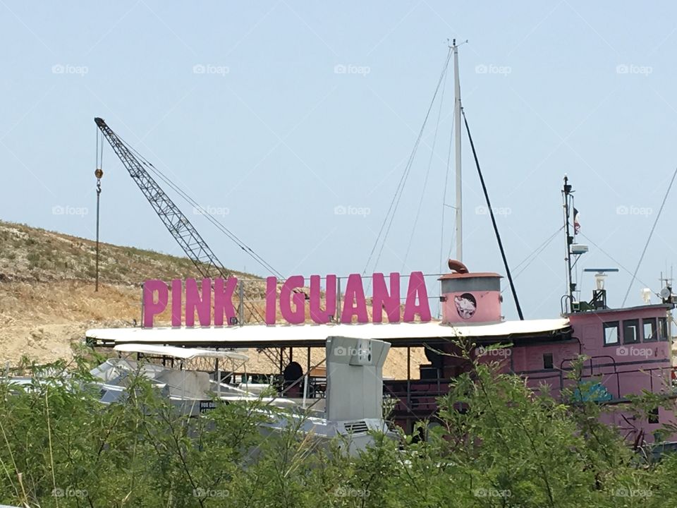 Pink Iguana Ship