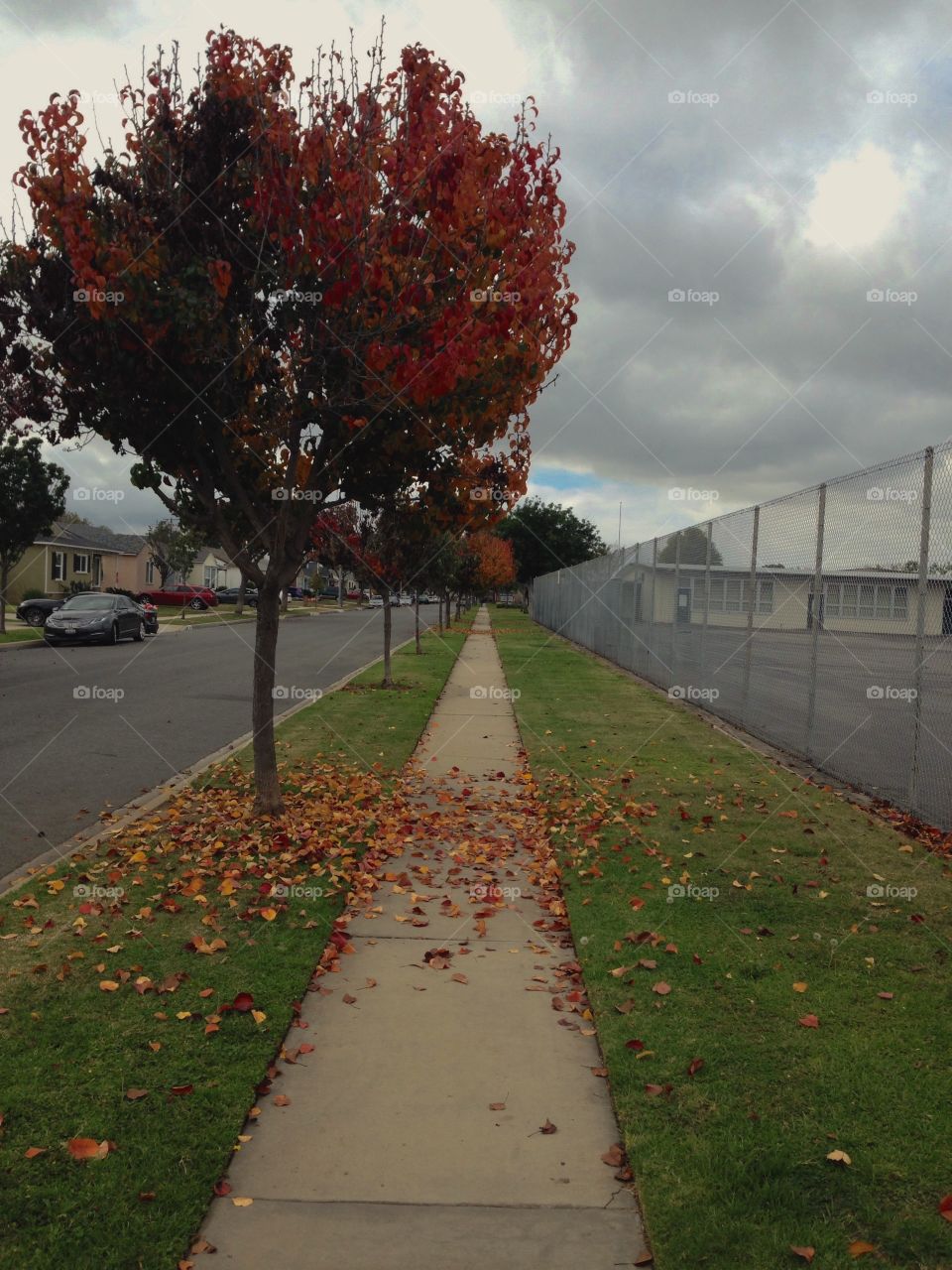 Rain Fall Is Coming

Published by:
HappyBrownMonkey 

