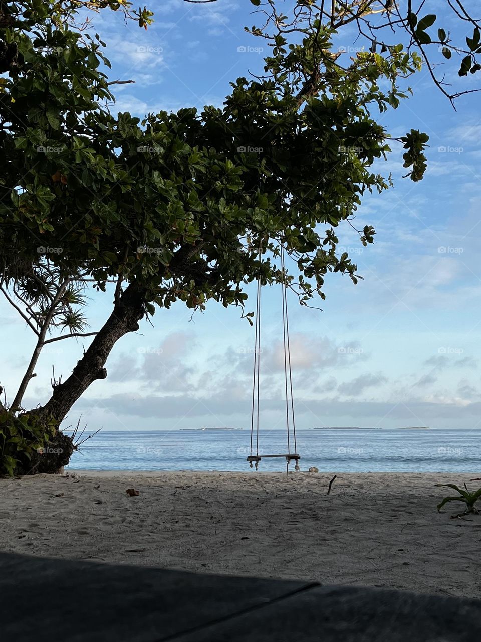 A joali hanging in a tree by the beach of Thaa atoll Veymandoo island in the Maldives. Hanging joali by the beach is a local tradition.