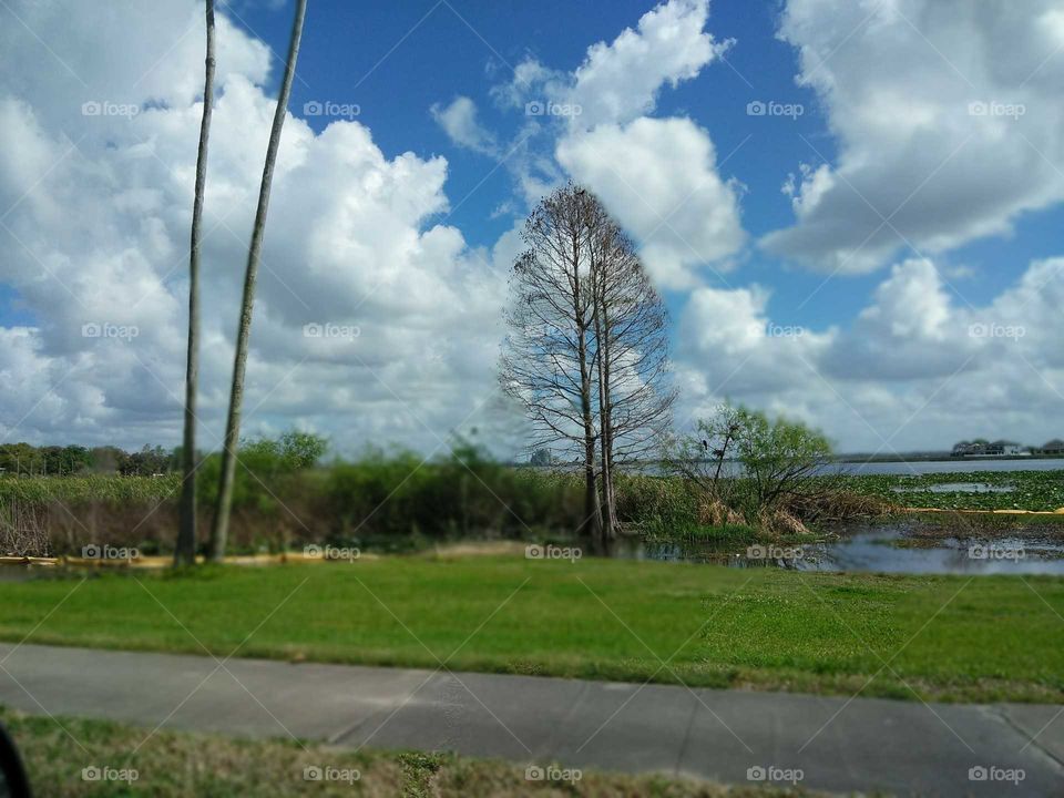 The calm bwfore the storm