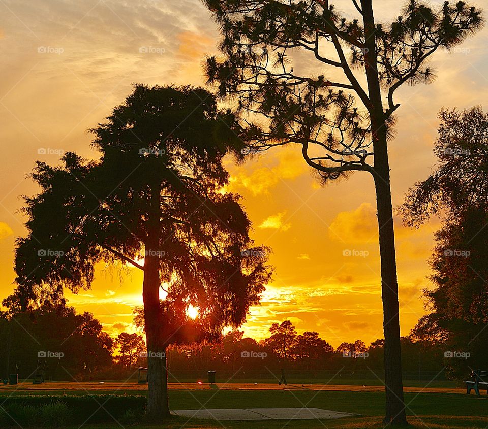 Brilliant streaks of yellow, orange, gold, overcome the spacious sky. The sky resembled a prism; all the colors blended perfectly together. It's as if the colors and intensity of the light is just right! 