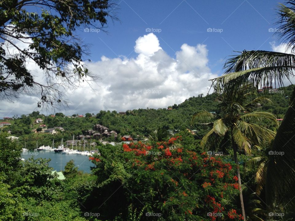 Saint Lucia