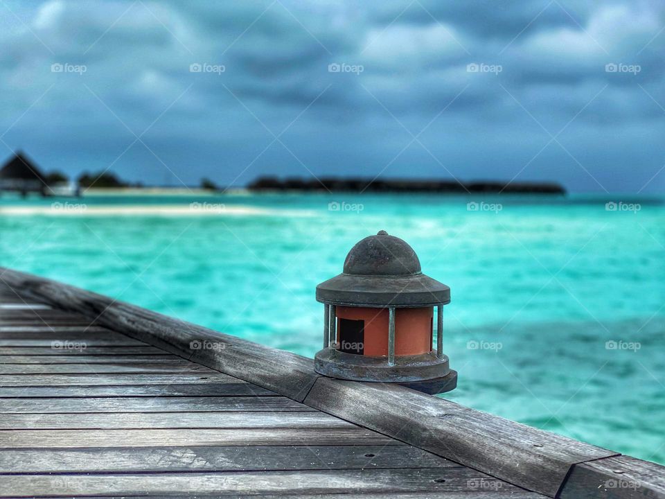 the way to the ocean 