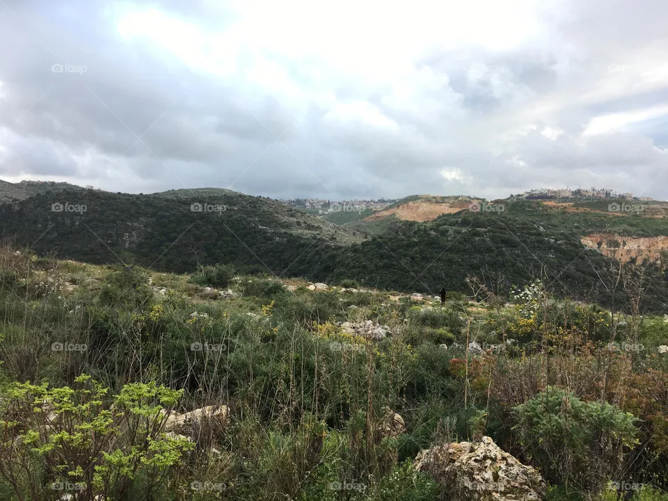 landscape