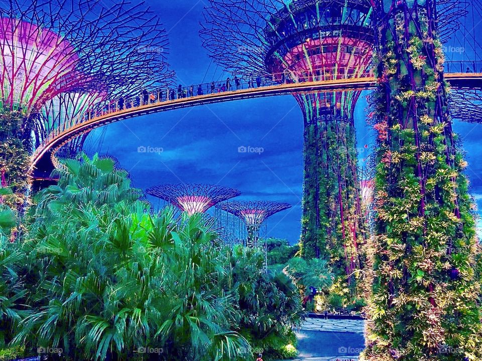 Gardens By The Bay in Singapore 