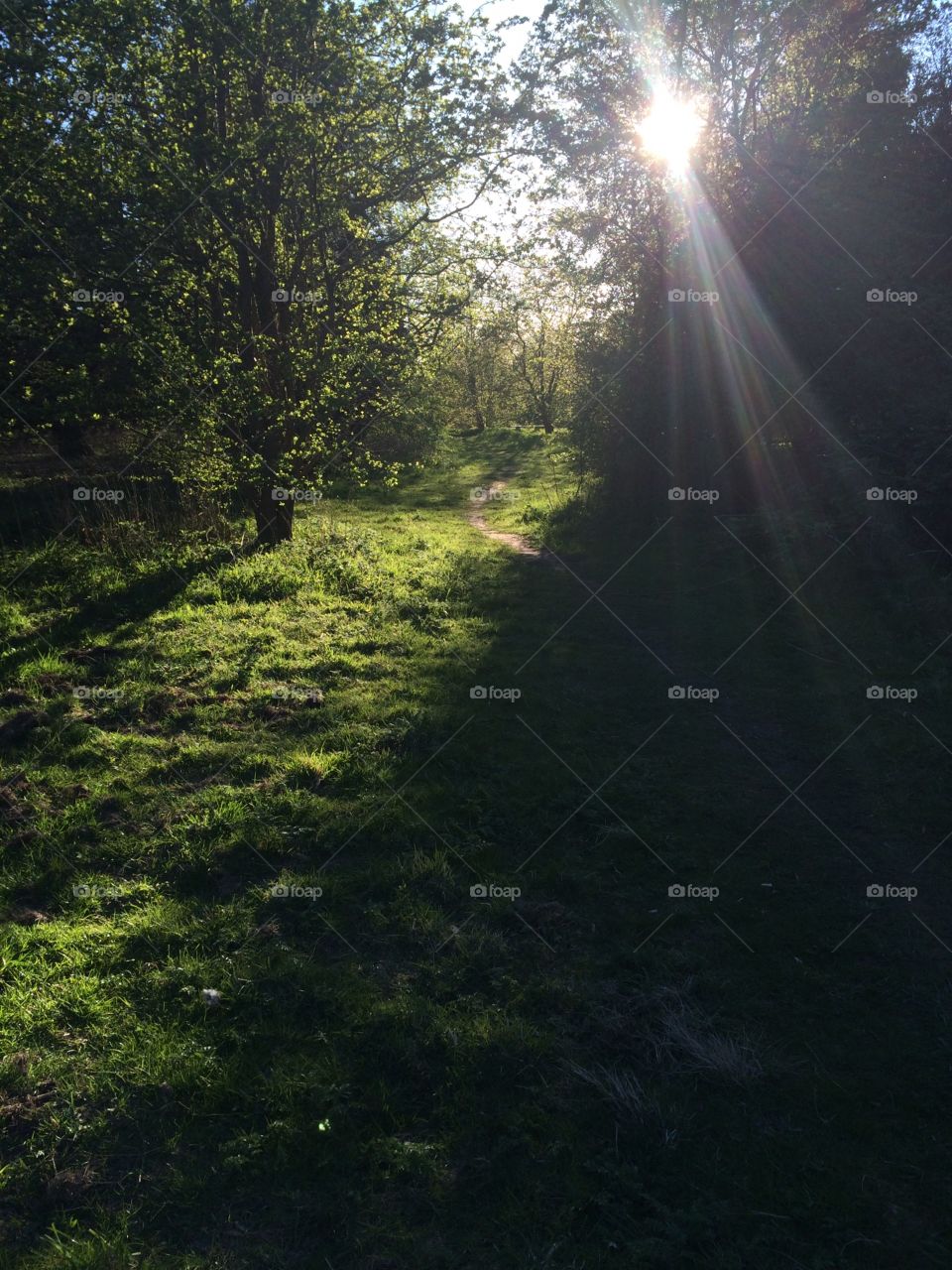 Gyllins garden Malmö Sweden 