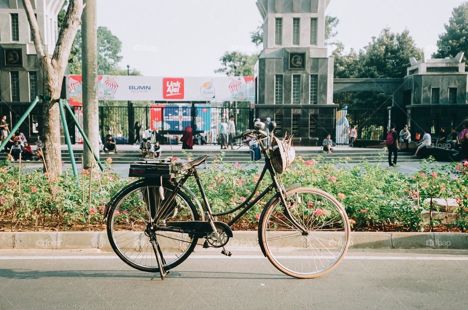 alone among the crowd