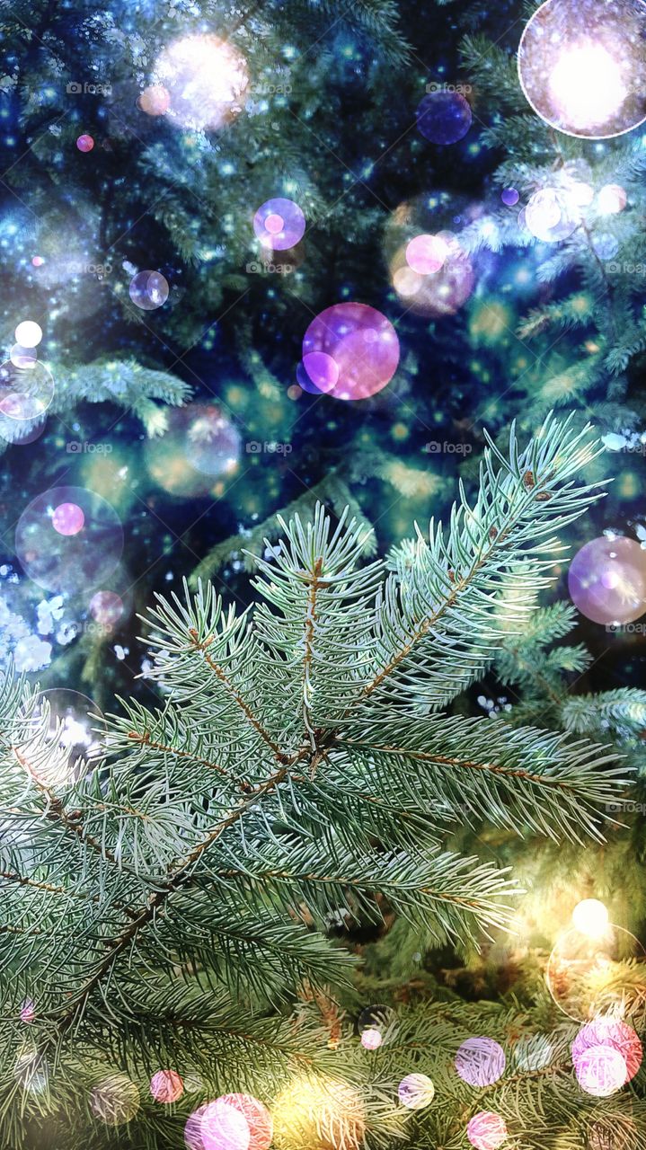 Christmas Edit 🎄
Wishing Many Magical Memory Making To All 🎅🎁🌟🔔