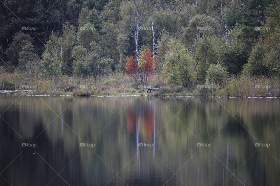 Autumn, forest reflections on the lake - höst, skog reflektion sjö