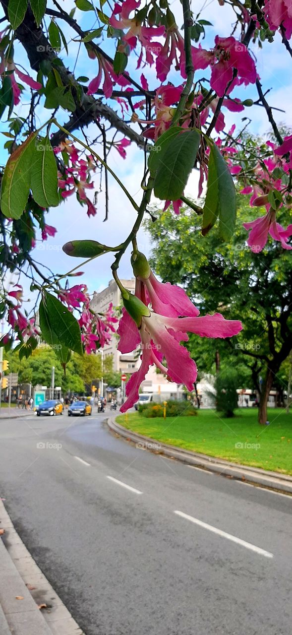 Barcelona street