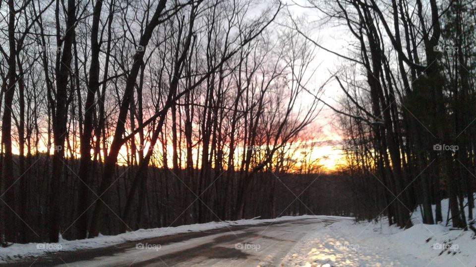 Northern Michigan 