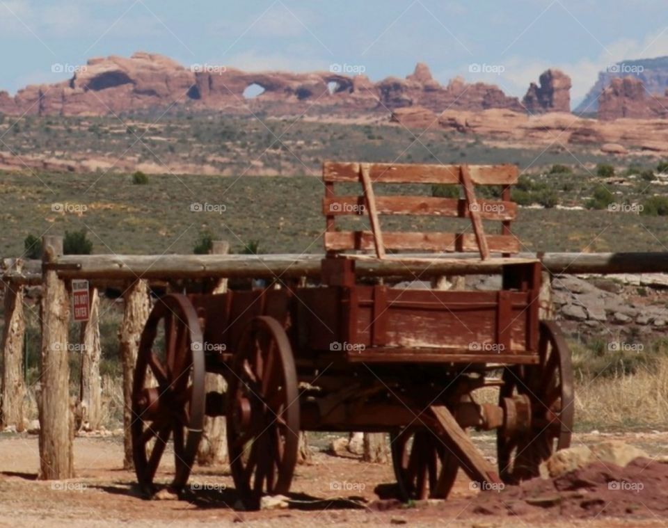 the wagon windows