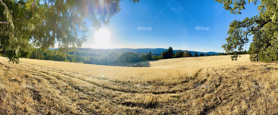 Meadow on fall day