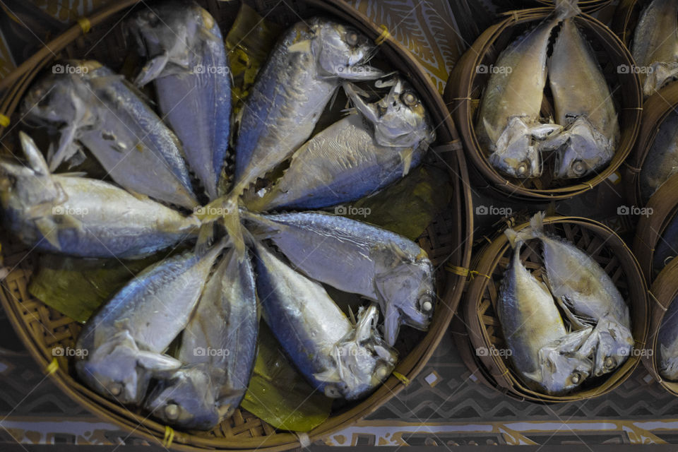 catch of the day,  fish at the market