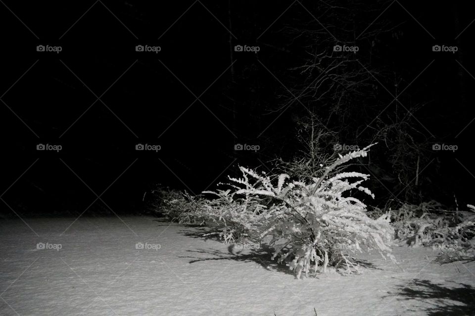 Snow fading into darknes * Nieve desvaneciendose en la oscuridad
