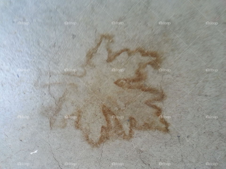 A Piece Of Fall Leftover