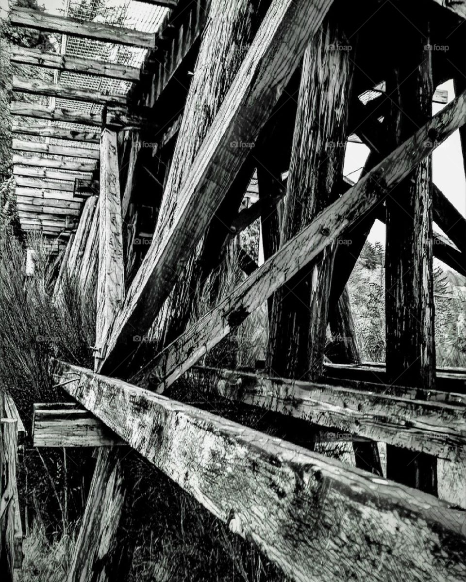 Bridge Siuslaw Train Bridge