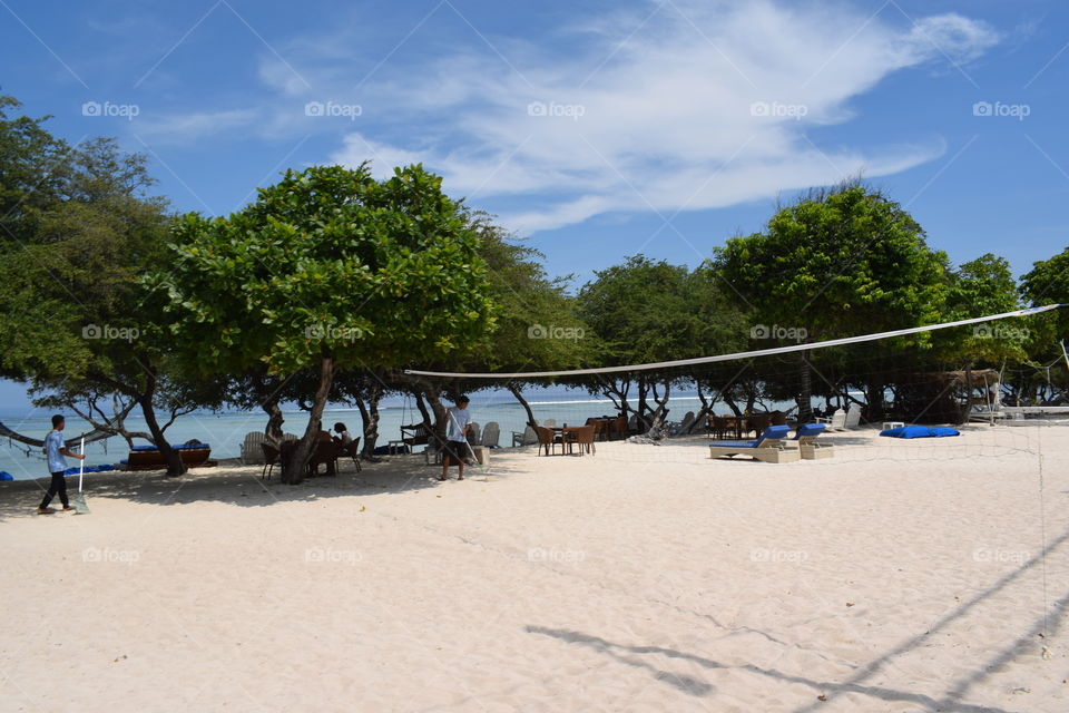 landscape at the beach