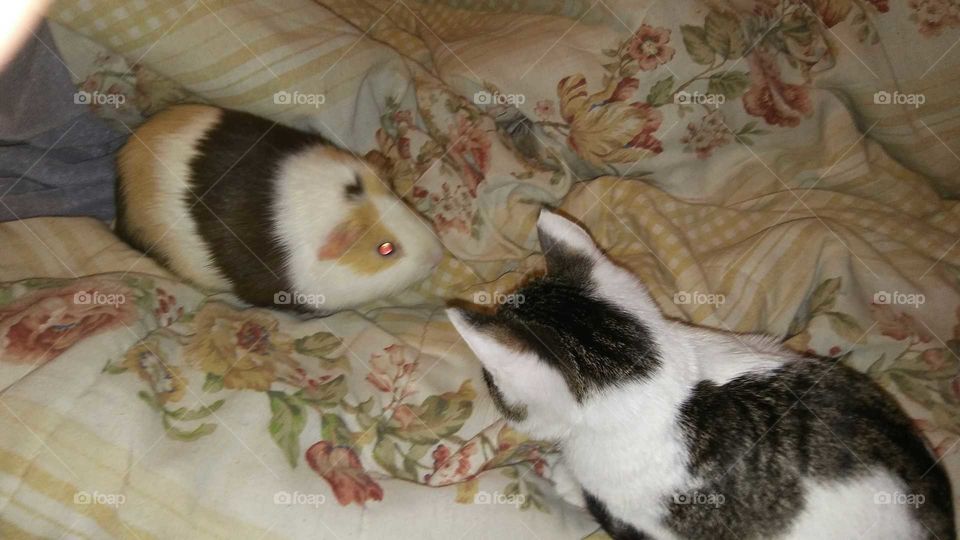 who is gonna blink first